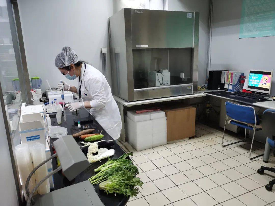吴起食品检测实验室装修方案